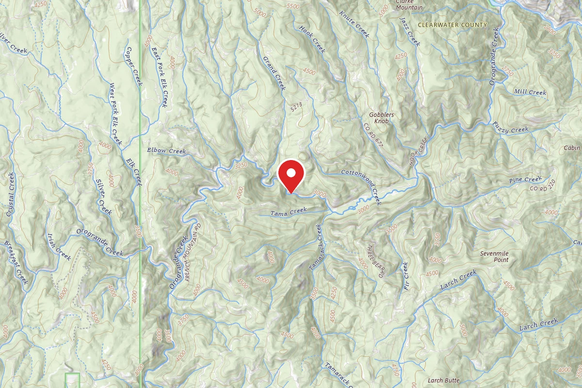Nez Perce-Clearwater Dispersed Campsite NF250RD-015