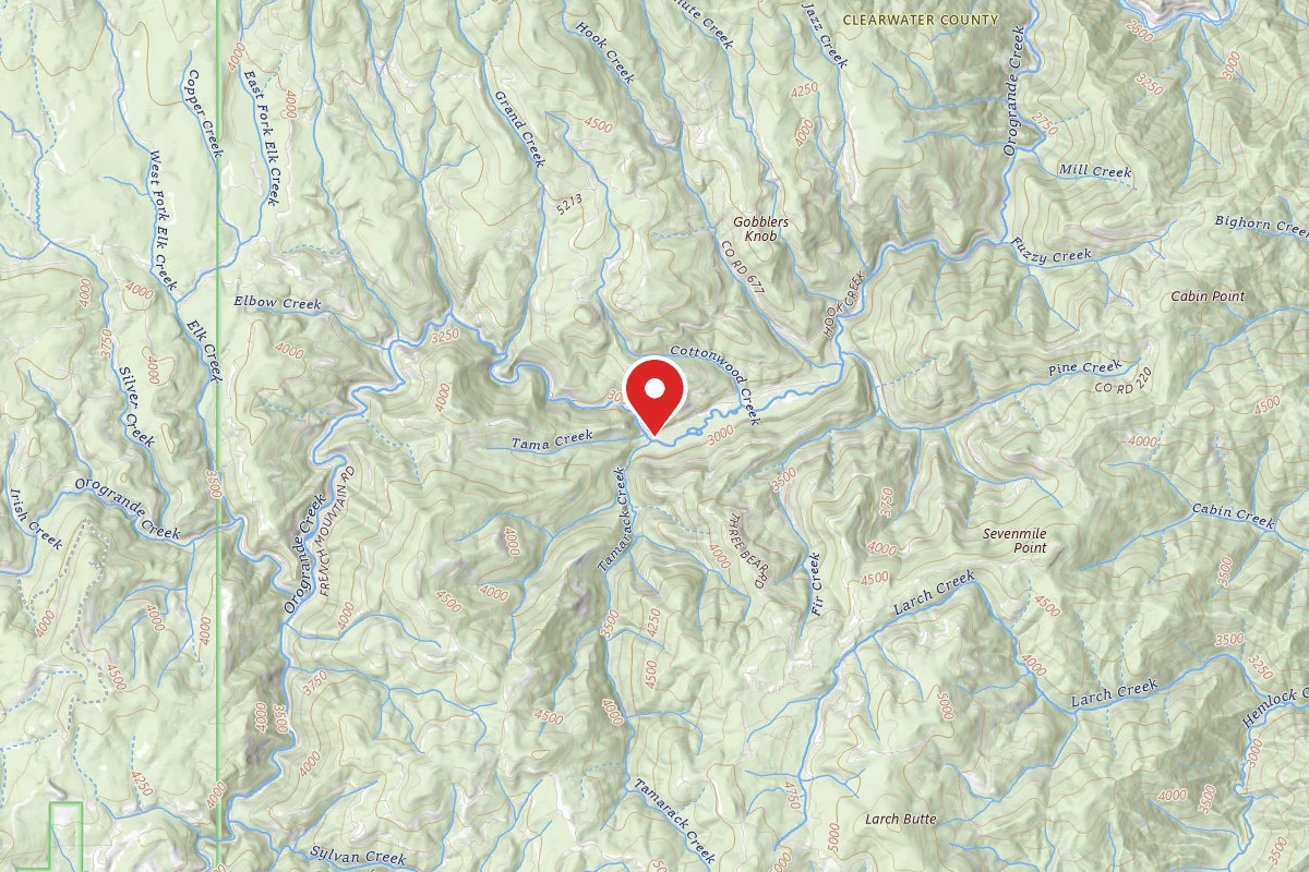 Nez Perce-Clearwater Dispersed Campsite NF250RD-016B