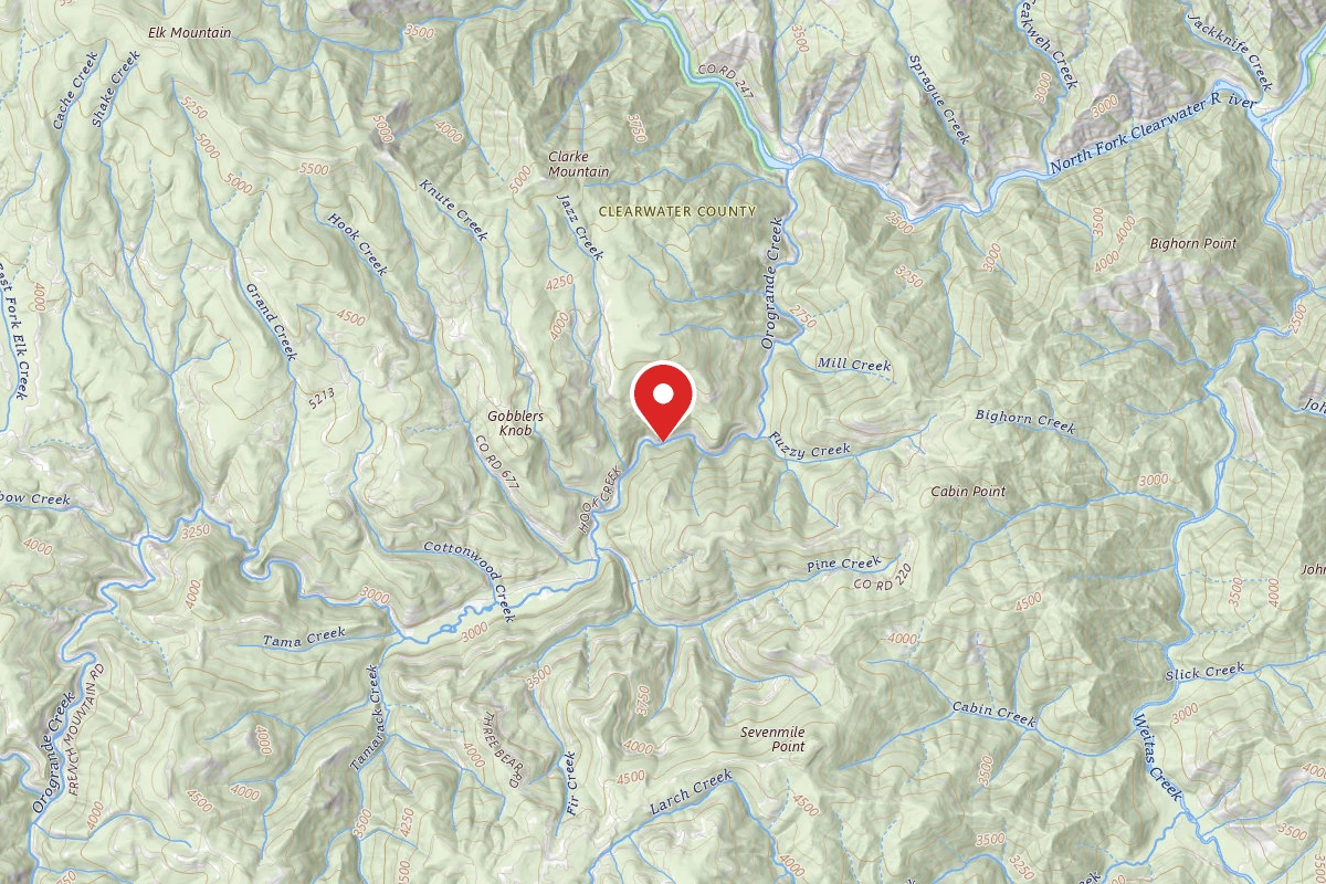 Nez Perce-Clearwater Dispersed Campsite NF250RD-026
