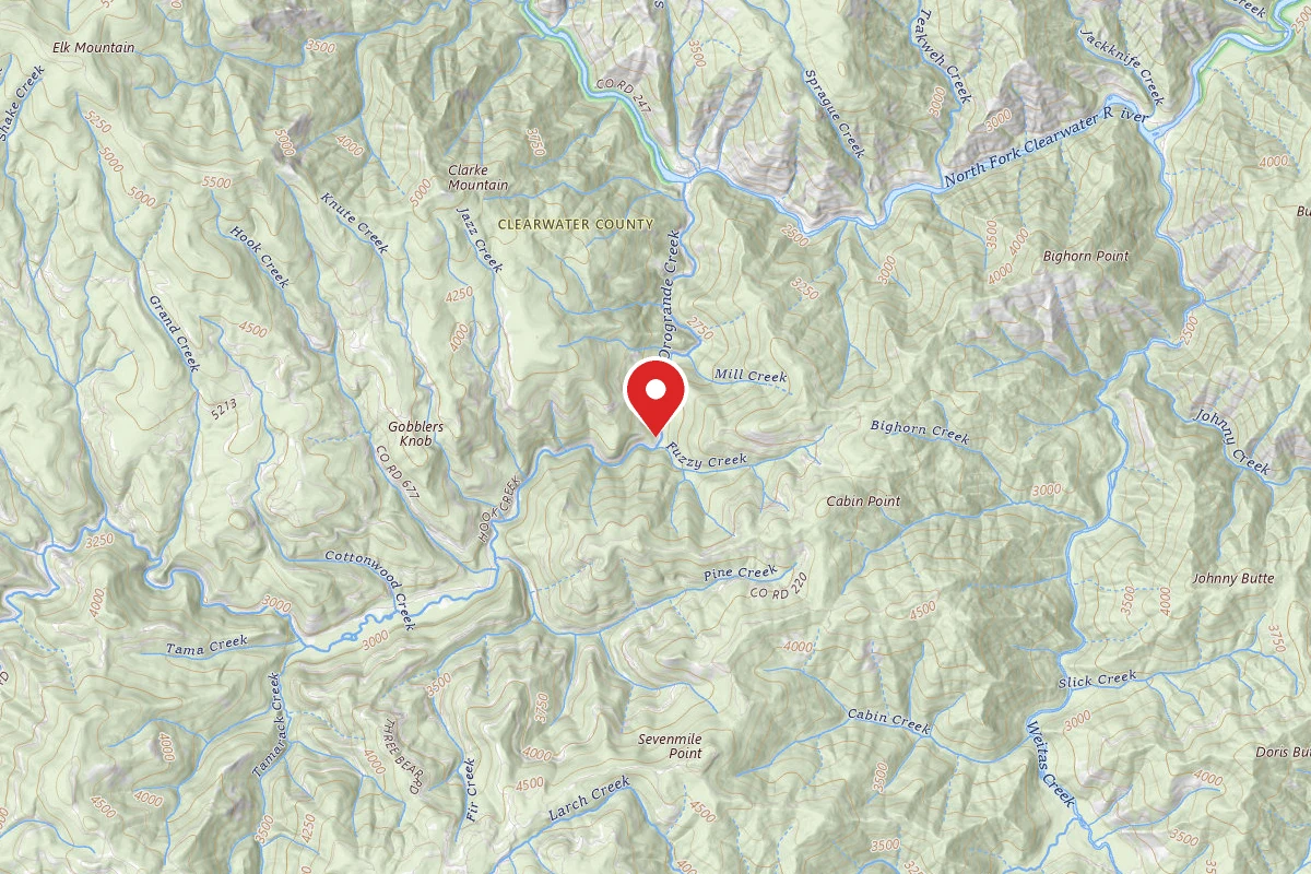 Nez Perce-Clearwater Dispersed Campsite NF250RD-027
