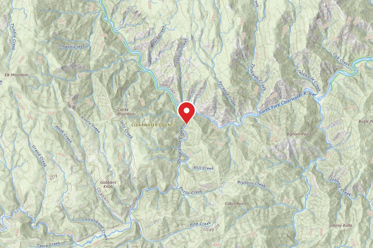 Nez Perce-Clearwater Dispersed Campsite NF250RD-029