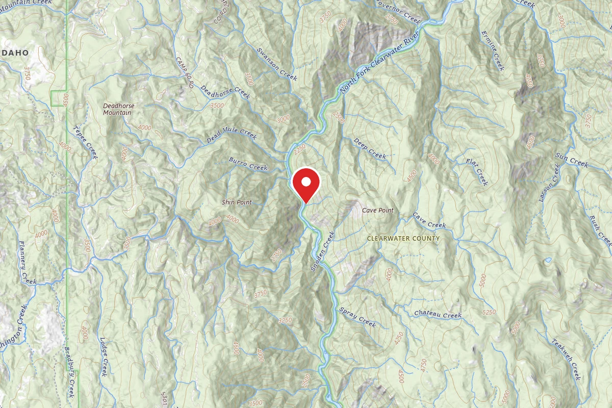 Nez Perce-Clearwater Dispersed Campsite NF247RD-010