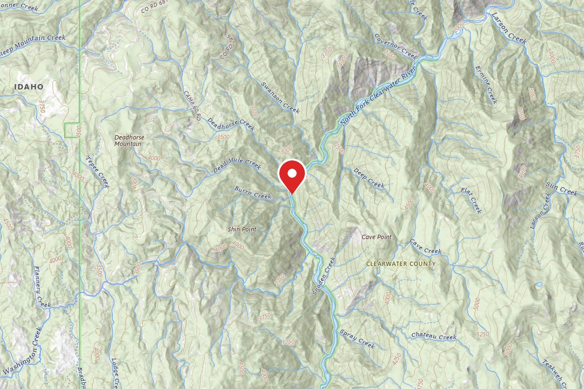 Nez Perce-Clearwater Dispersed Campsite NF247RD-012