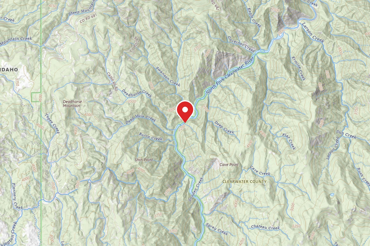 Nez Perce-Clearwater Dispersed Campsite NF247RD-013