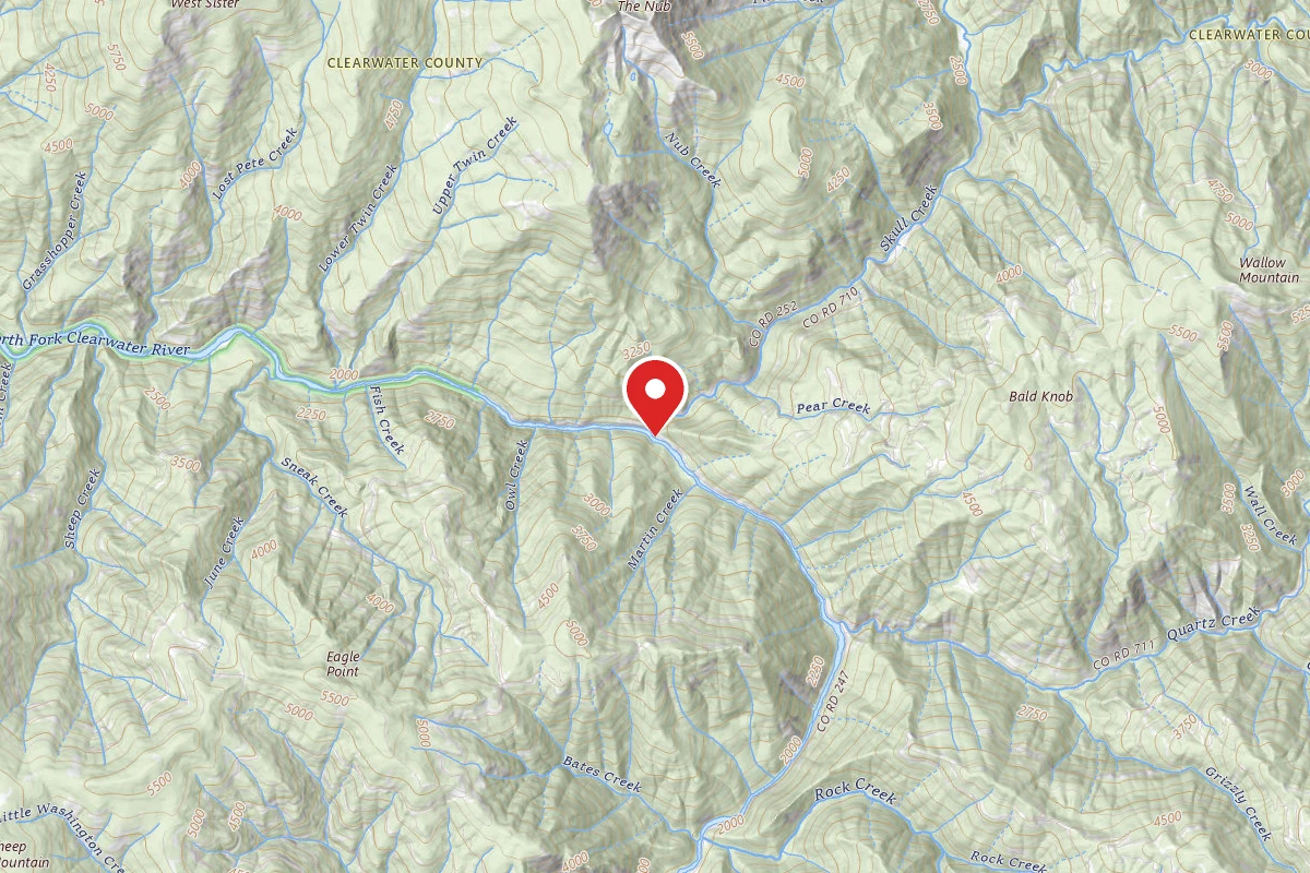 Nez Perce-Clearwater Dispersed Campsite NF247RD-028