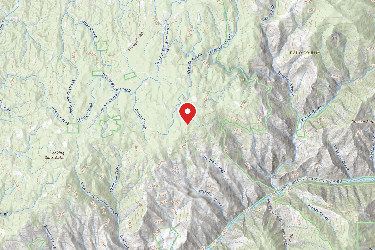 Nez Perce-Clearwater Dispersed Campsite SR394RD-005