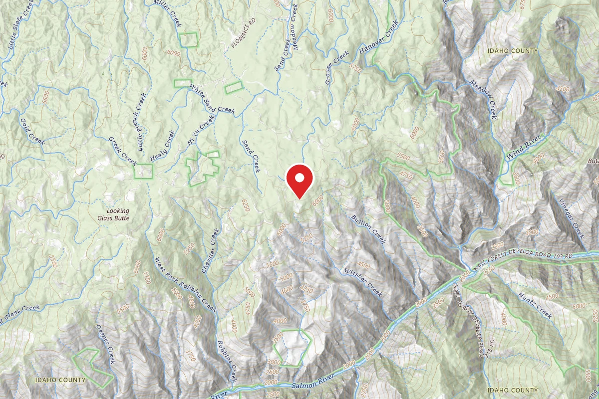 Nez Perce-Clearwater Dispersed Campsite SR394RD-006