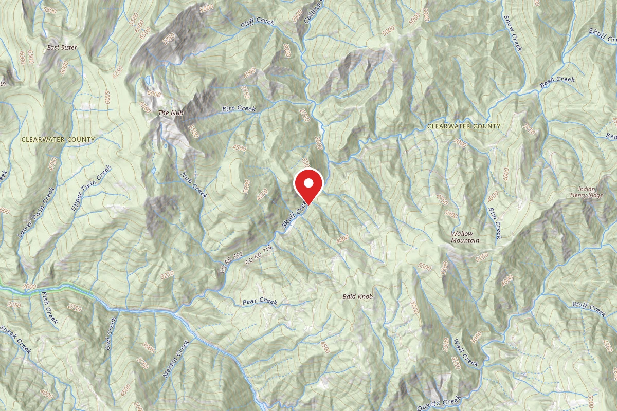 Nez Perce-Clearwater Dispersed Campsite NF252RD-006
