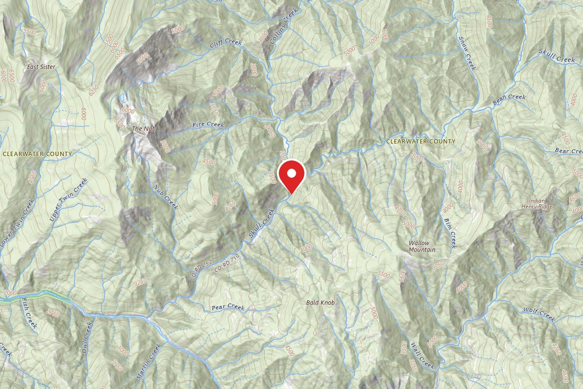 Nez Perce-Clearwater Dispersed Campsite NF252RD-009