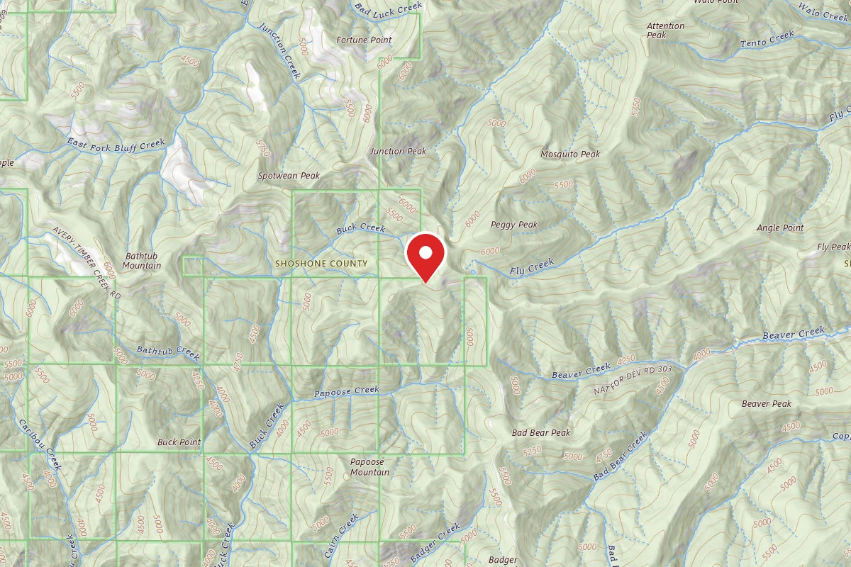 Idaho Panhandle Dispersed Campsite RD 201 MI 33.2