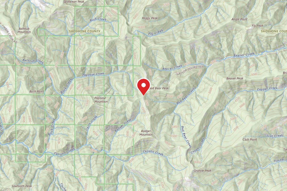 Idaho Panhandle Dispersed Campsite RD 201 MI 36.1