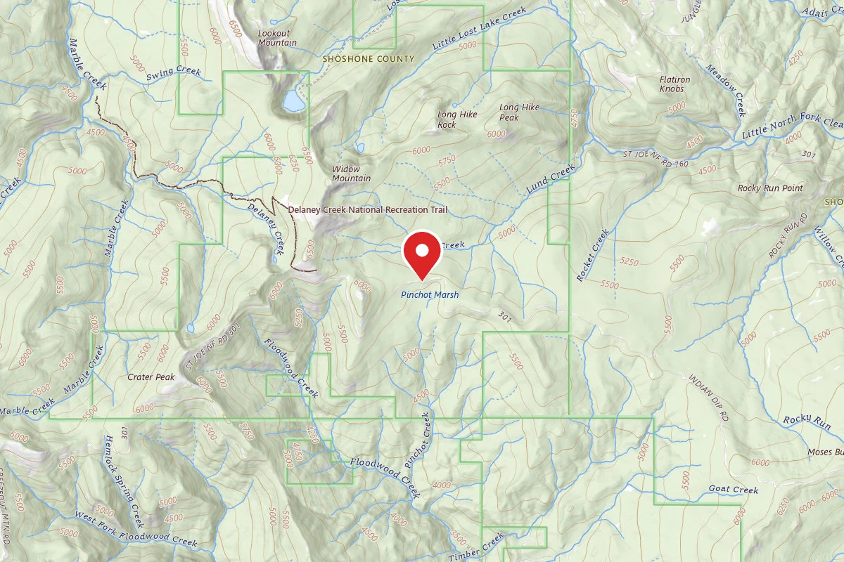 Idaho Panhandle Dispersed Campsite RD 301 MI 27.2