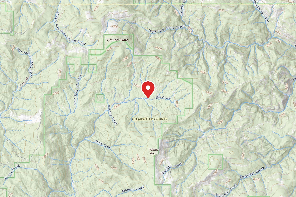 Nez Perce-Clearwater Dispersed Campsite PAL382RD-026-CP