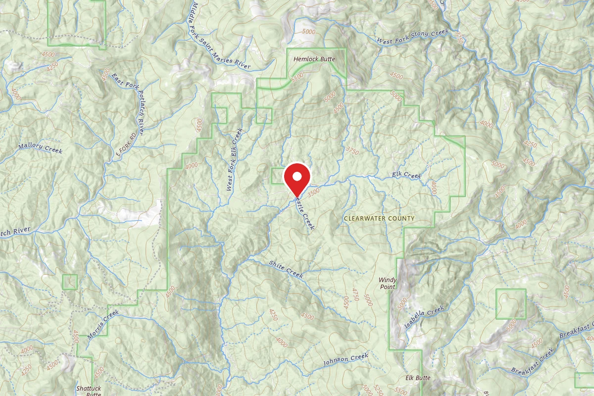 Nez Perce-Clearwater Dispersed Campsite PAL1965RD-022-CP