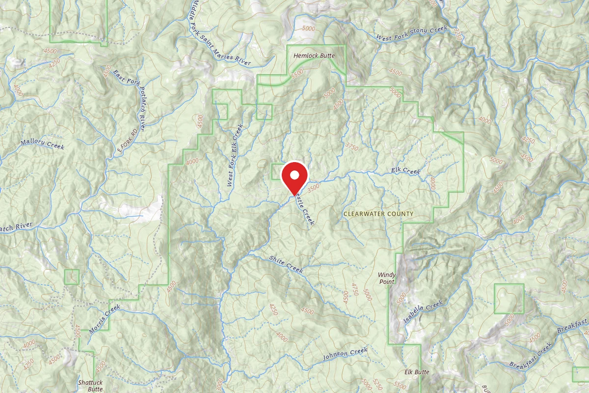 Nez Perce-Clearwater Dispersed Campsite PAL382RD-021-CP