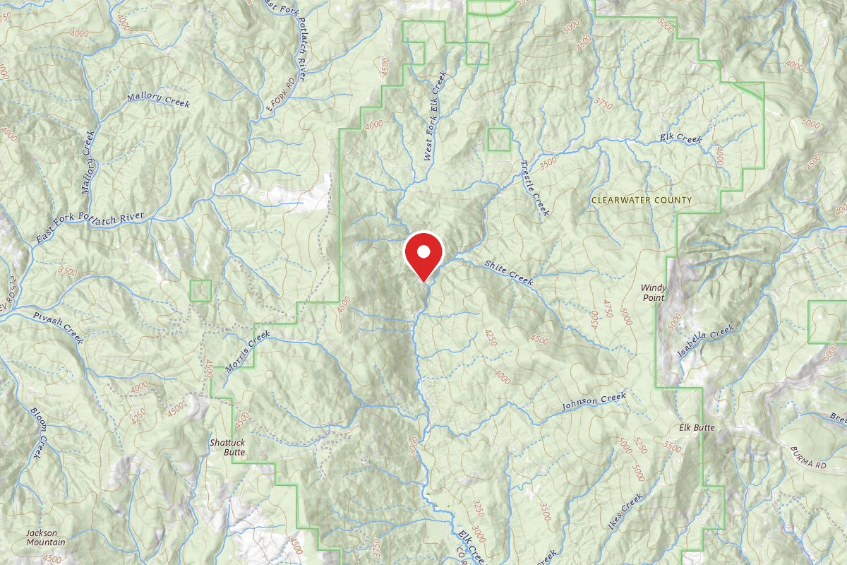 Nez Perce-Clearwater Dispersed Campsite PAL382RD-019-CP