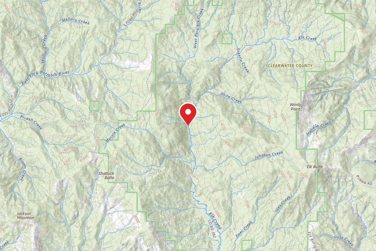 Nez Perce-Clearwater Dispersed Campsite PAL382RD-018.3