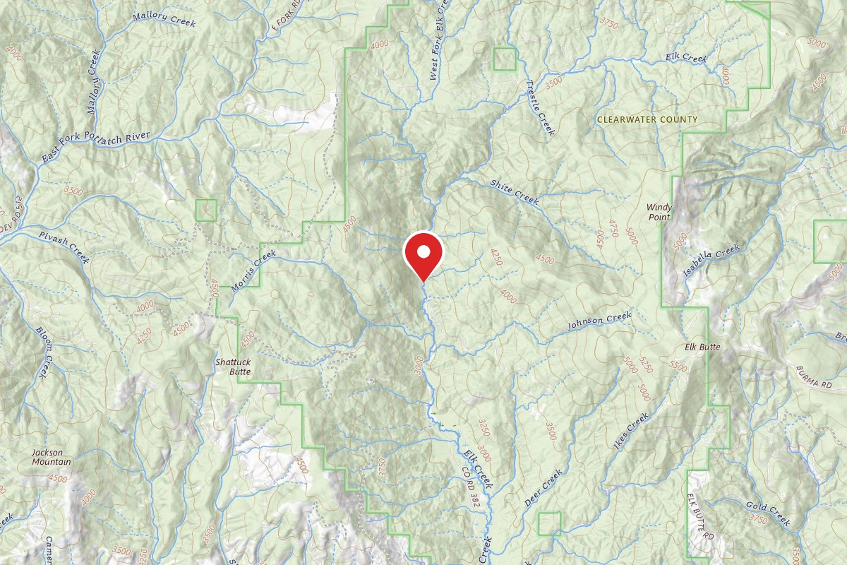 Nez Perce-Clearwater Dispersed Campsite PAL382RD-018.2