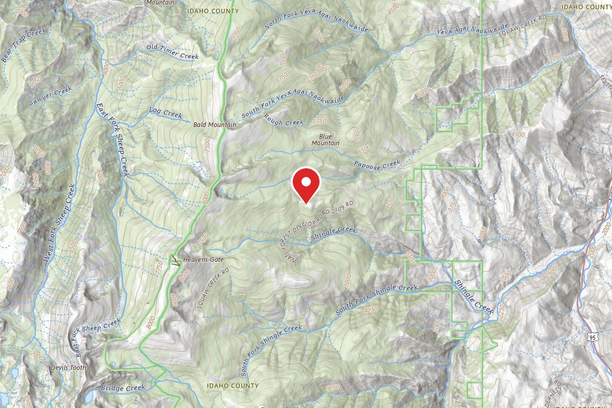 Nez Perce-Clearwater Dispersed Campsite SR517FRD-002
