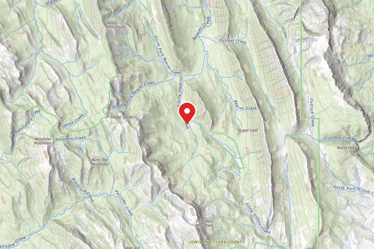 Helena-Lewis and Clark Dispersed Campsite ROAD 233C-002