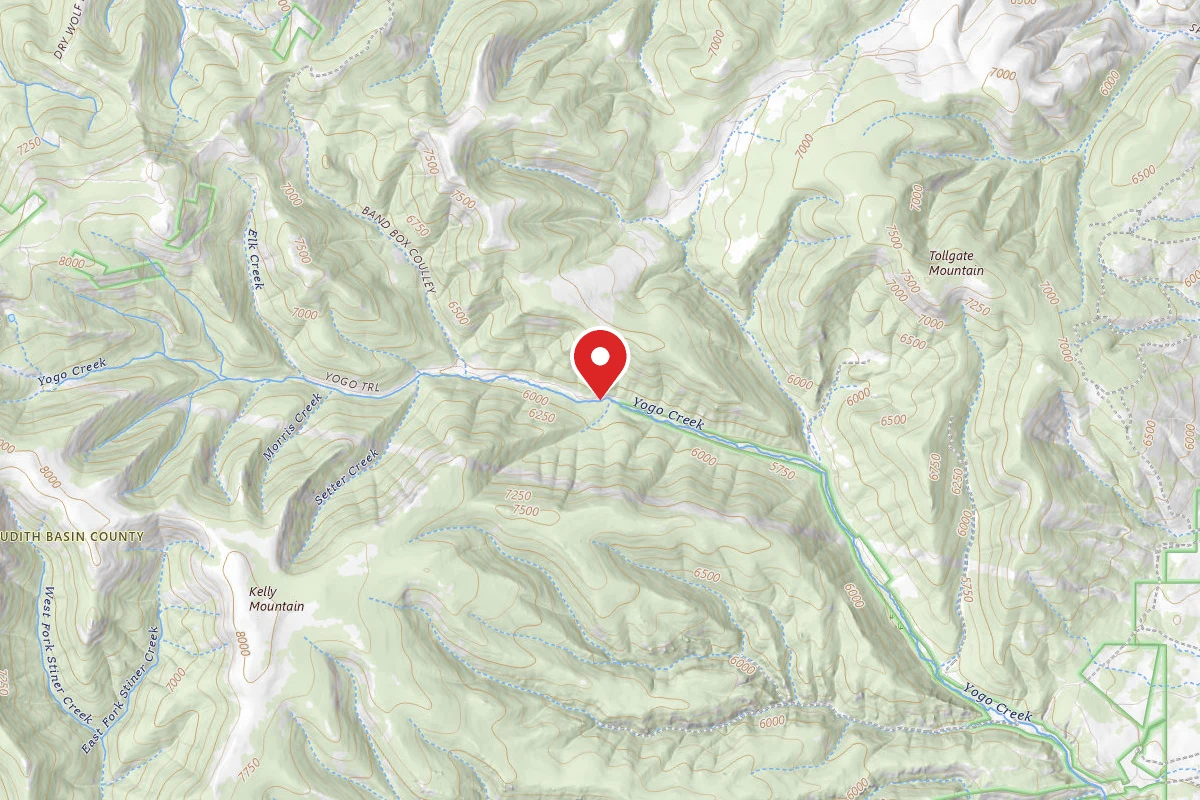 Helena-Lewis and Clark Dispersed Campsite FOR RD 266-YOGO CK -0017