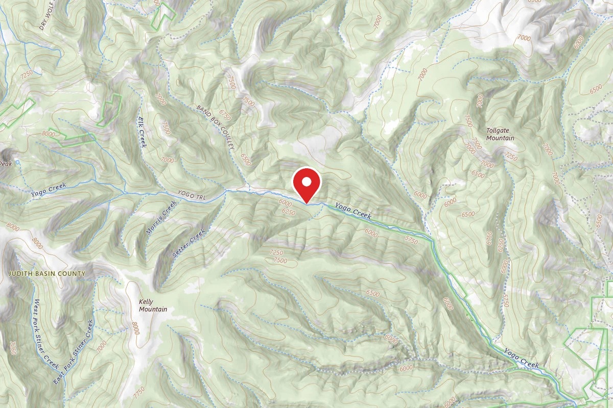 Helena-Lewis and Clark Dispersed Campsite FOR RD 266-YOGO CK -0019