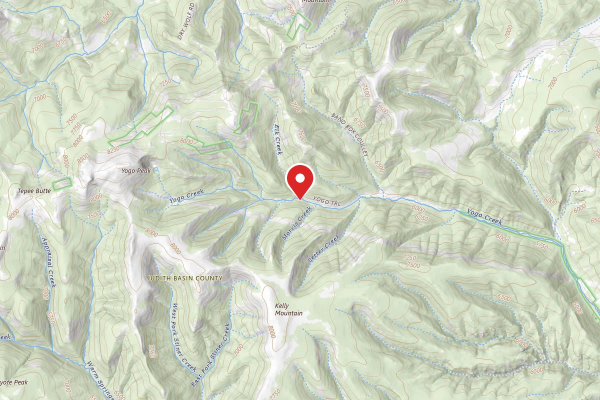 Helena-Lewis and Clark Dispersed Campsite FOR RD 266-YOGO CK -029