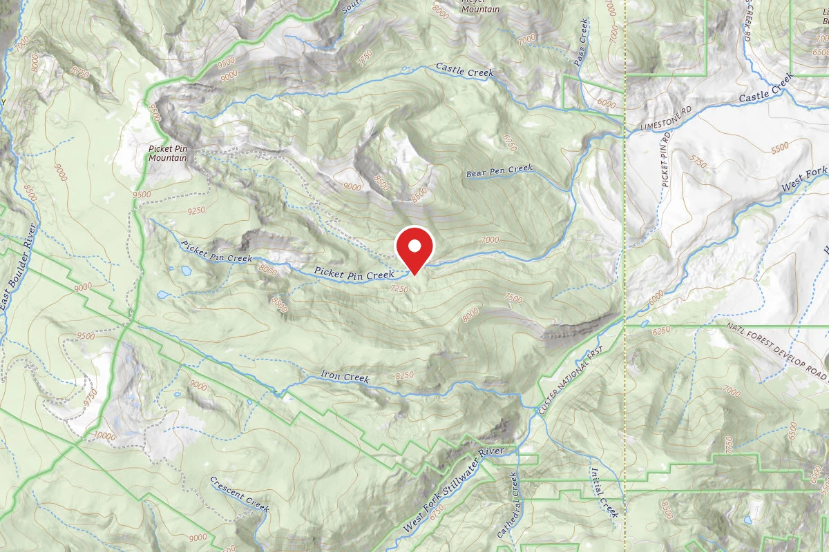 Custer Gallatin Dispersed Campsite BRD21401-004