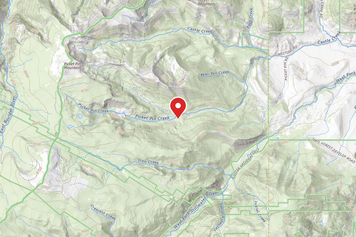 Custer Gallatin Dispersed Campsite BRD21401-003