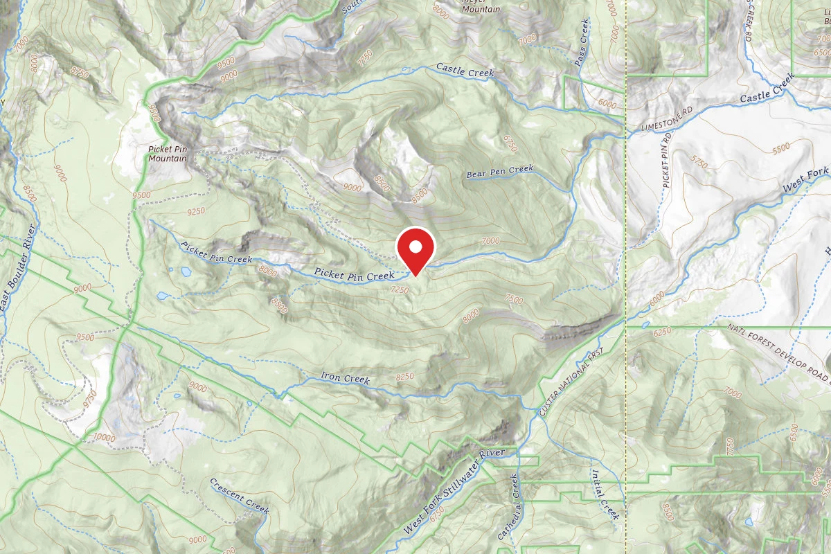 Custer Gallatin Dispersed Campsite BRD21401-005