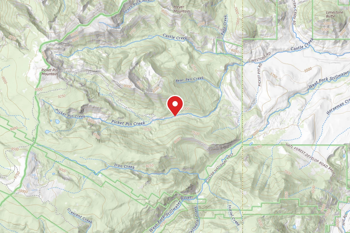 Custer Gallatin Dispersed Campsite BRD2140-005