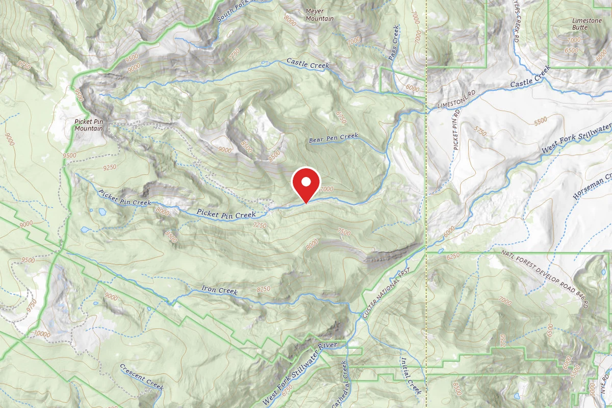 Custer Gallatin Dispersed Campsite BRD2140-006
