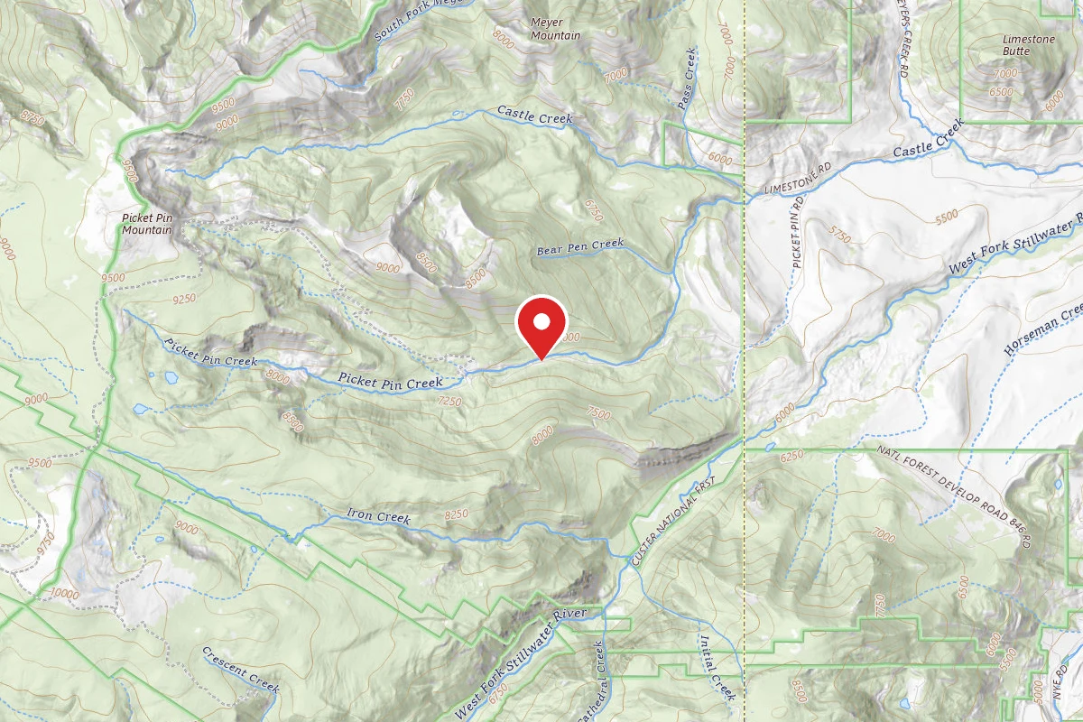Custer Gallatin Dispersed Campsite BRD2140-007
