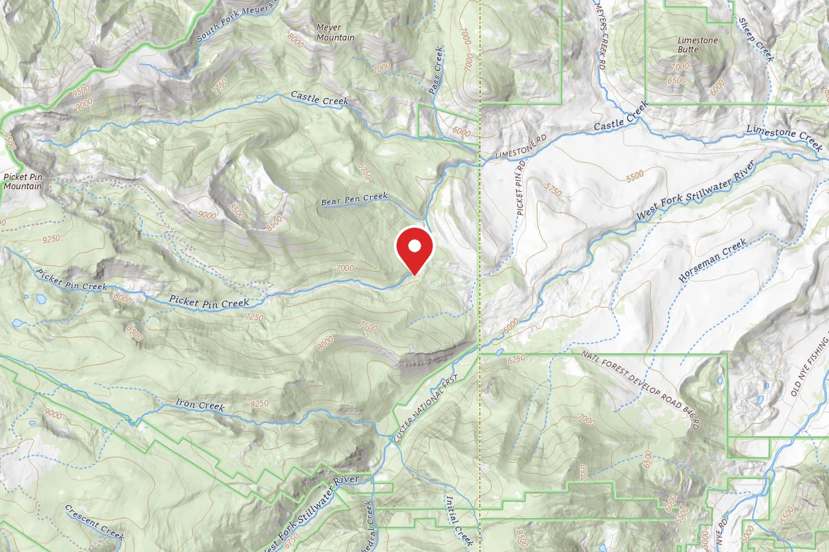 Custer Gallatin Dispersed Campsite BRD2140-008