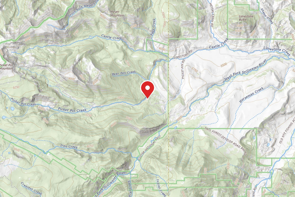 Custer Gallatin Dispersed Campsite BRD2140-009