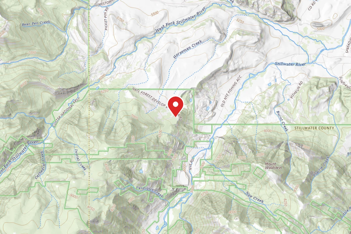 Custer Gallatin Dispersed Campsite BRD28461-001