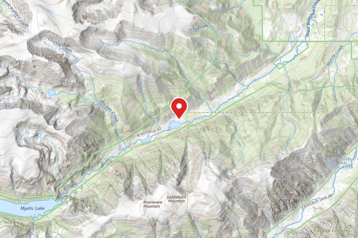 Custer Gallatin Dispersed Campsite BRD2072-006