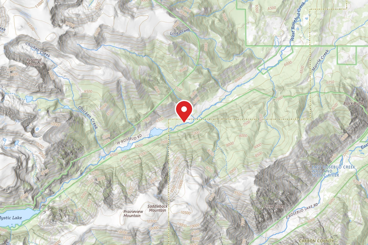 Custer Gallatin Dispersed Campsite BRD2072-017
