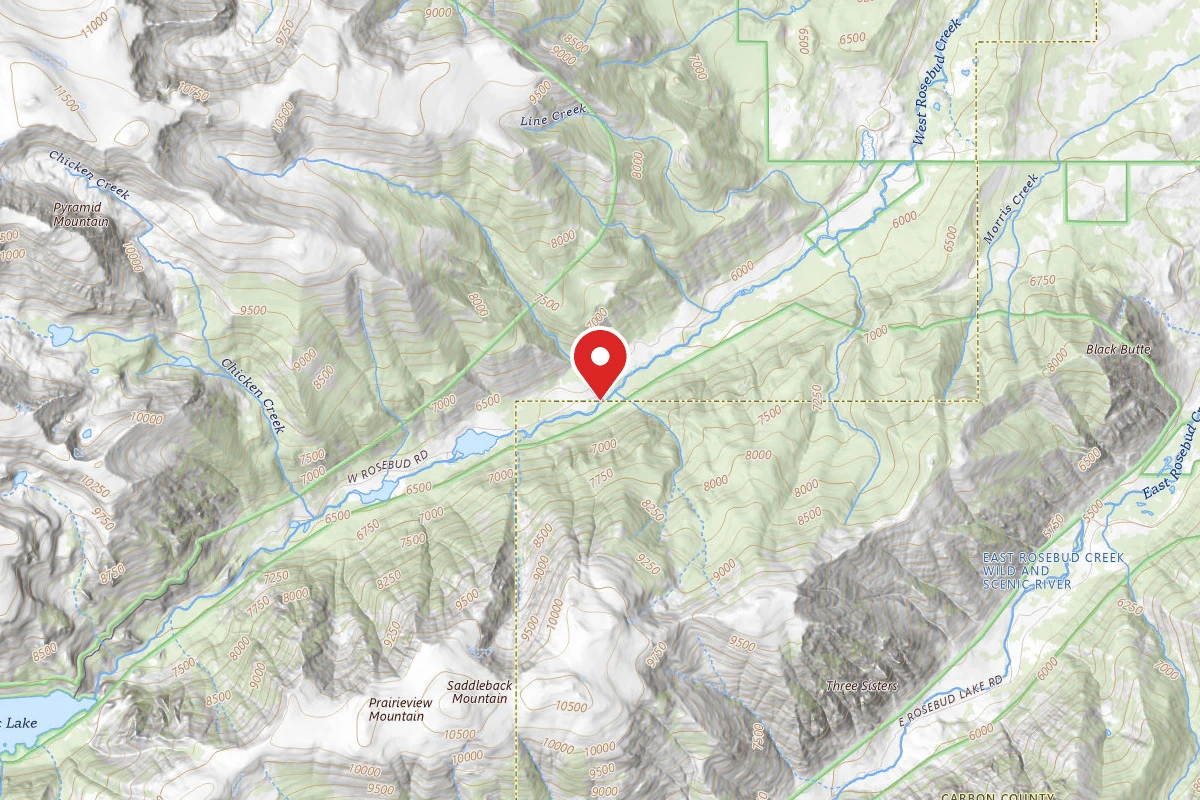 Custer Gallatin Dispersed Campsite BRD2072-020