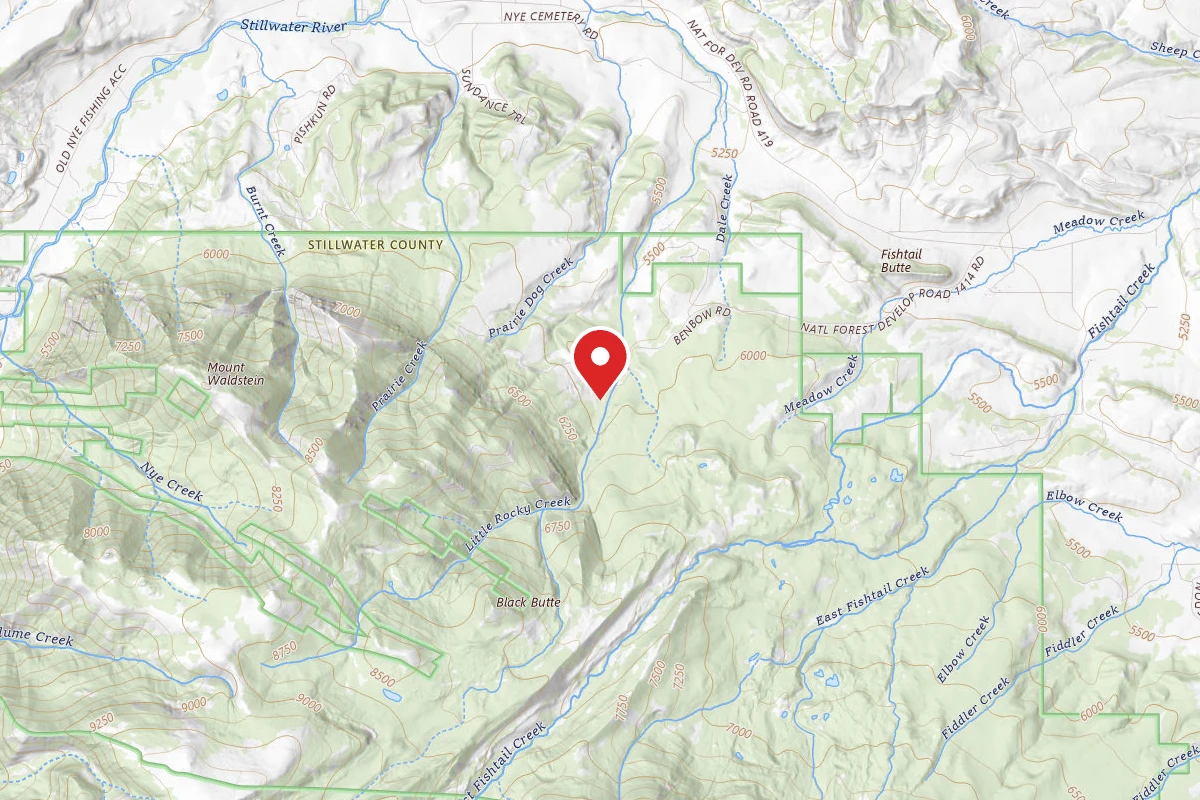 Custer Gallatin Dispersed Campsite BRD241413-001