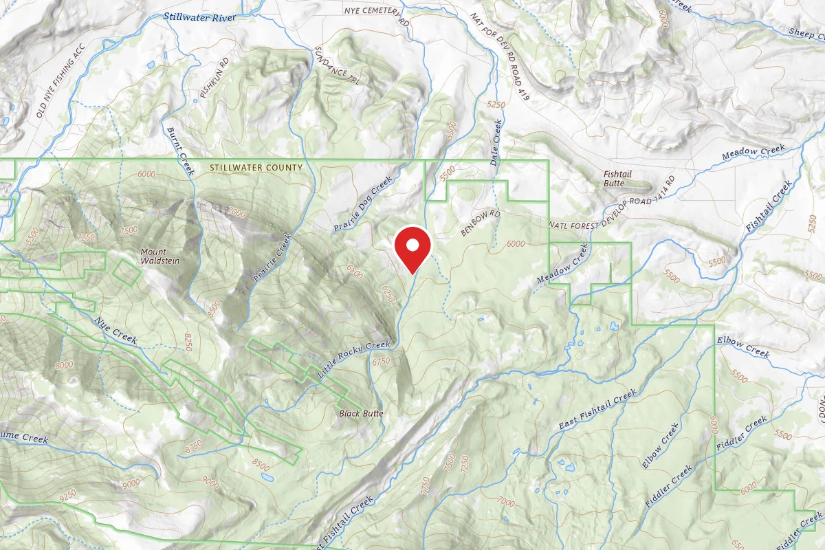 Custer Gallatin Dispersed Campsite BRD241413-002