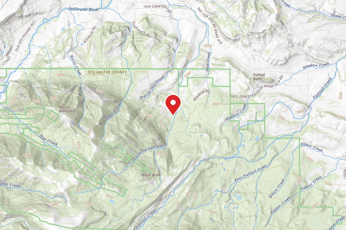 Custer Gallatin Dispersed Campsite BRD241413-003