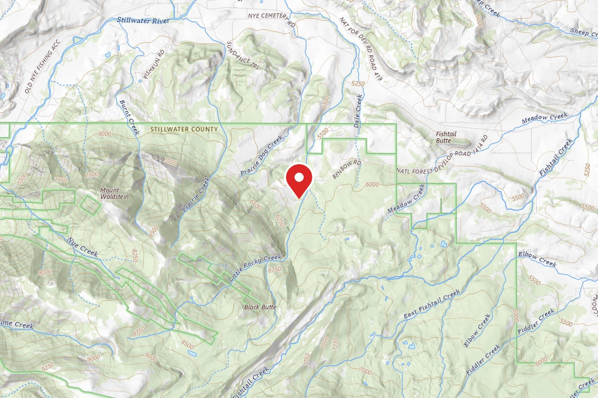 Custer Gallatin Dispersed Campsite BRD241413-002