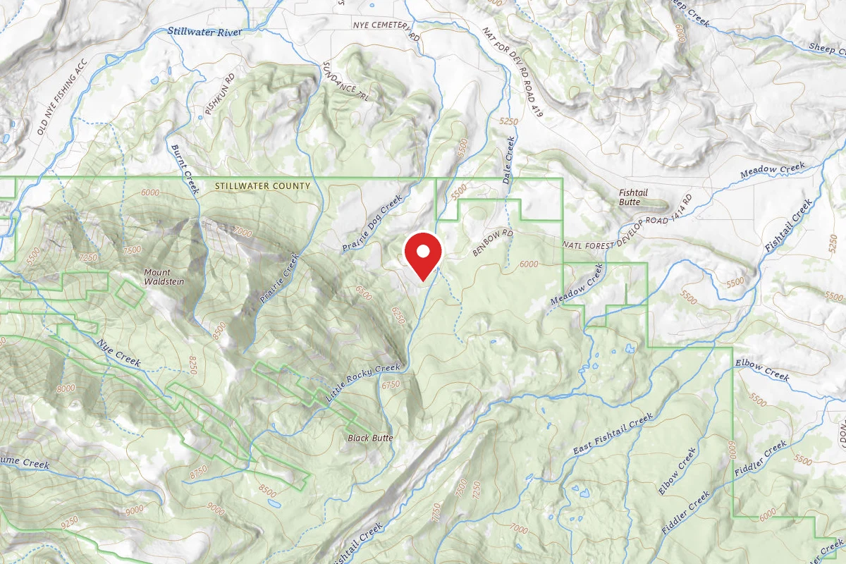 Custer Gallatin Dispersed Campsite BRD241413-003