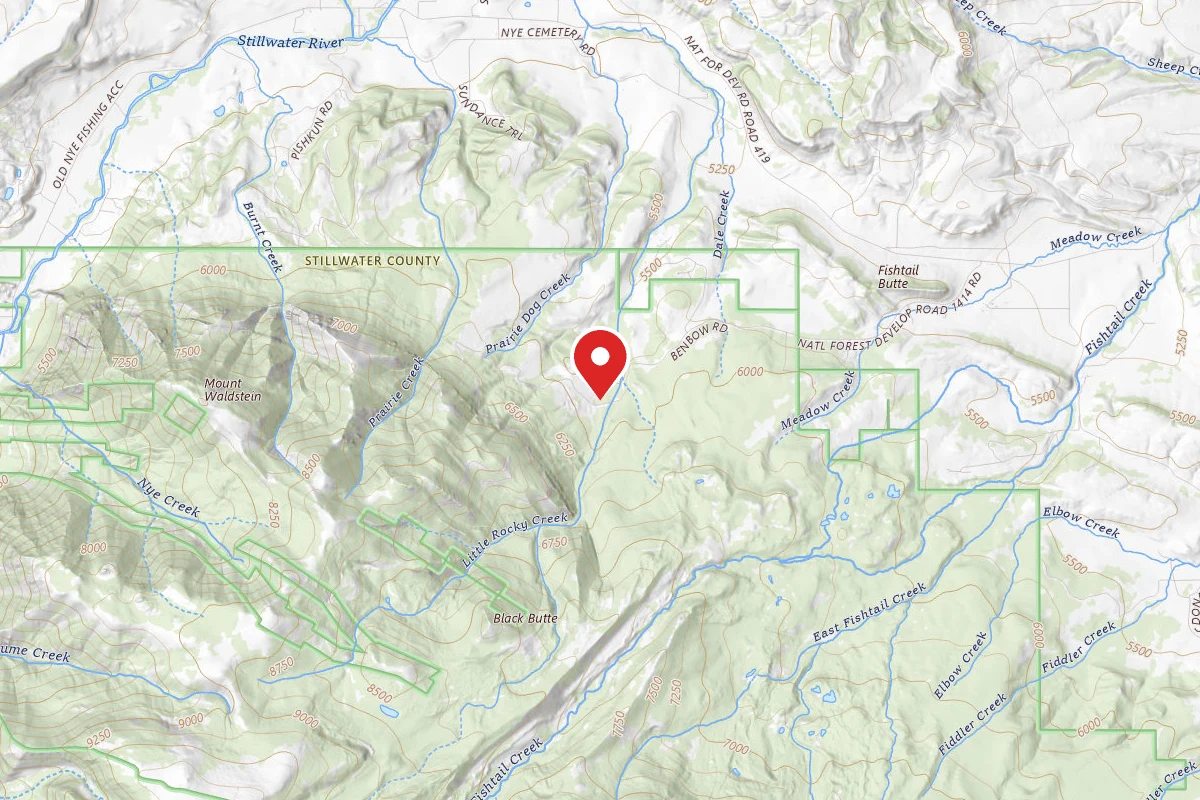 Custer Gallatin Dispersed Campsite BRD241413-004