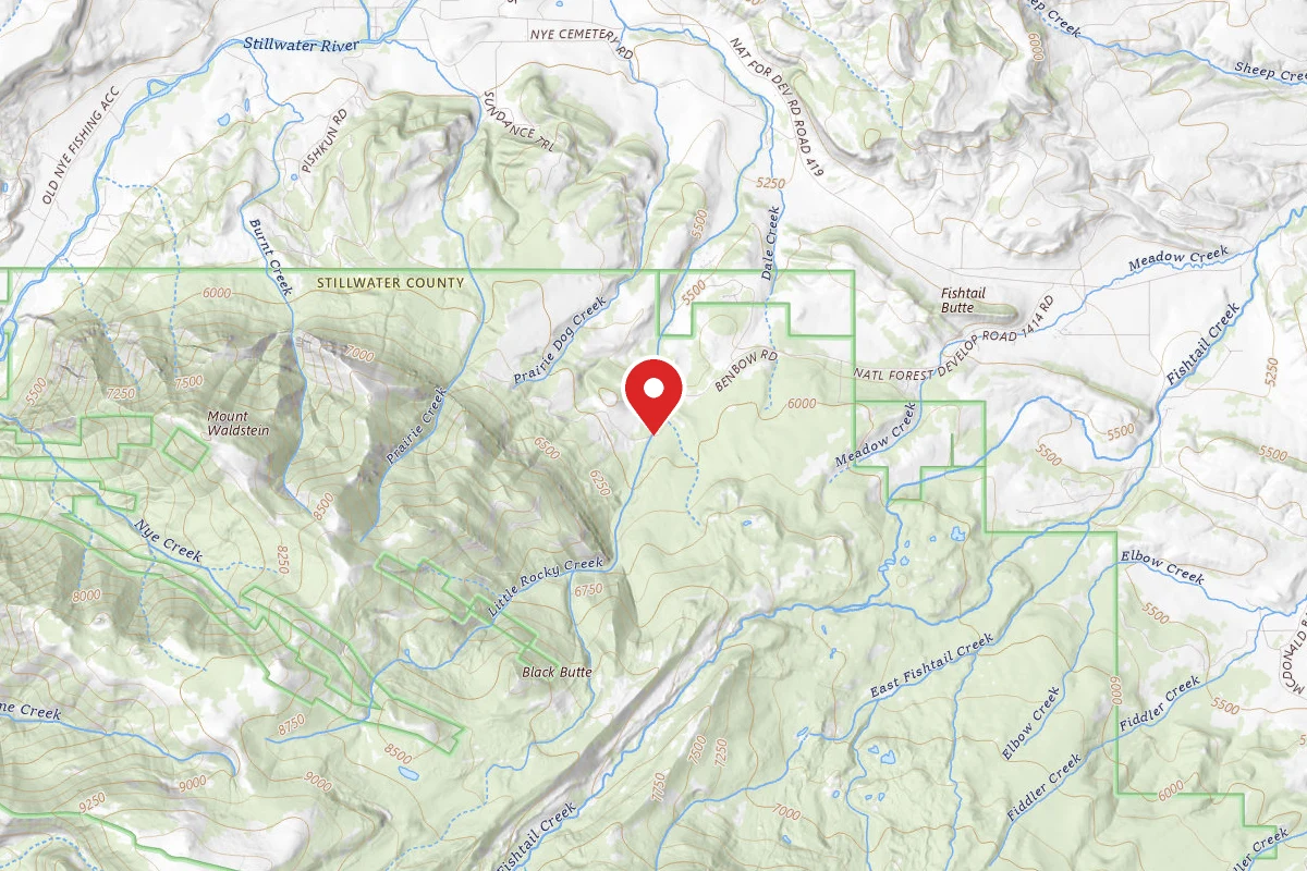 Custer Gallatin Dispersed Campsite BRD2414-001