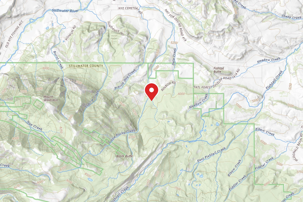 Custer Gallatin Dispersed Campsite BRD241411-001