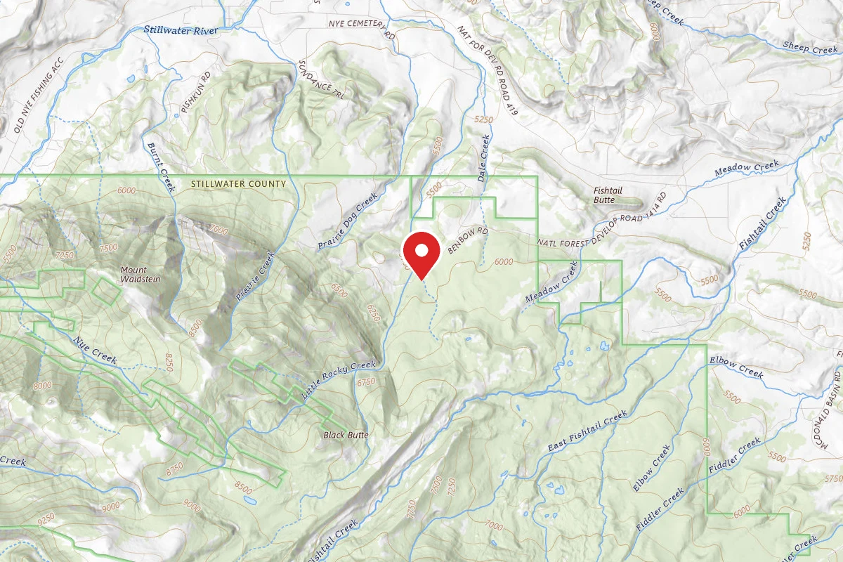 Custer Gallatin Dispersed Campsite BRD241411-002