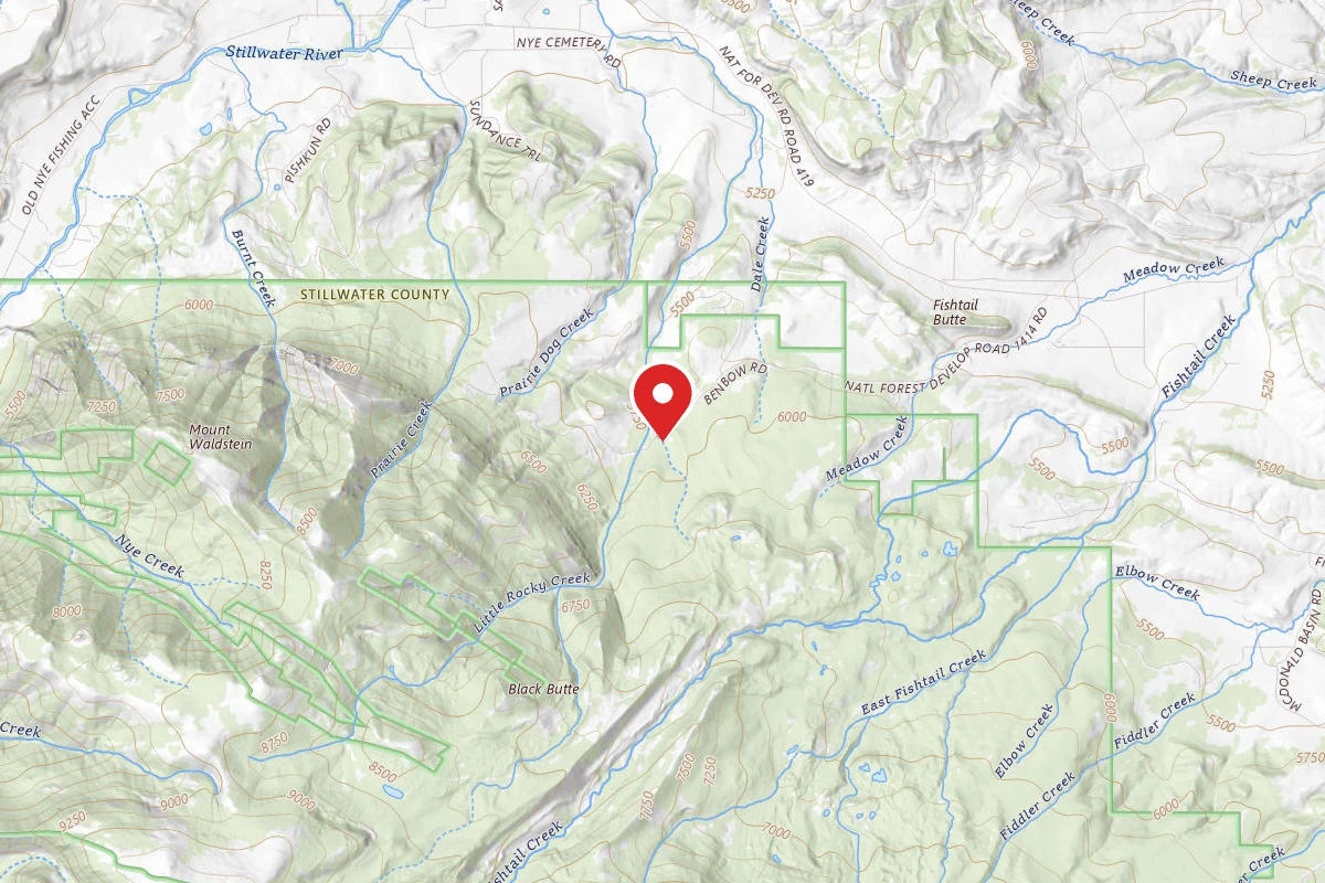 Custer Gallatin Dispersed Campsite BRD241411-003