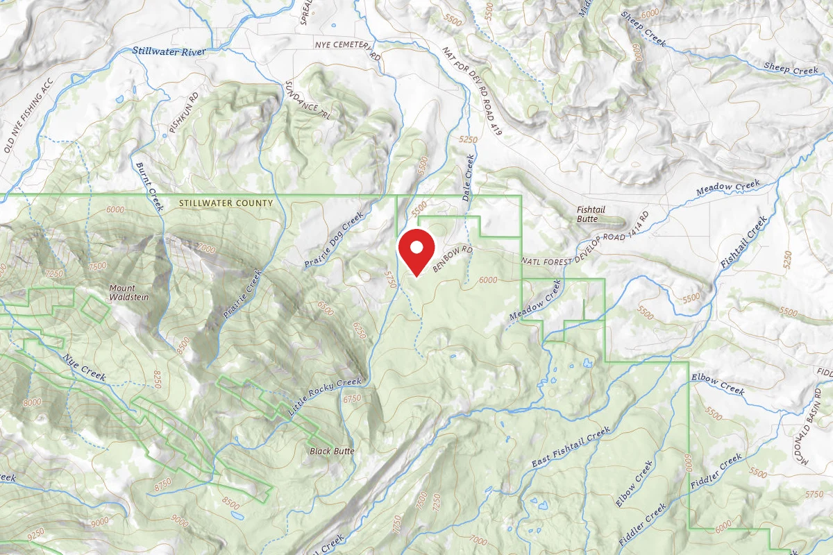 Custer Gallatin Dispersed Campsite BRD241410-001